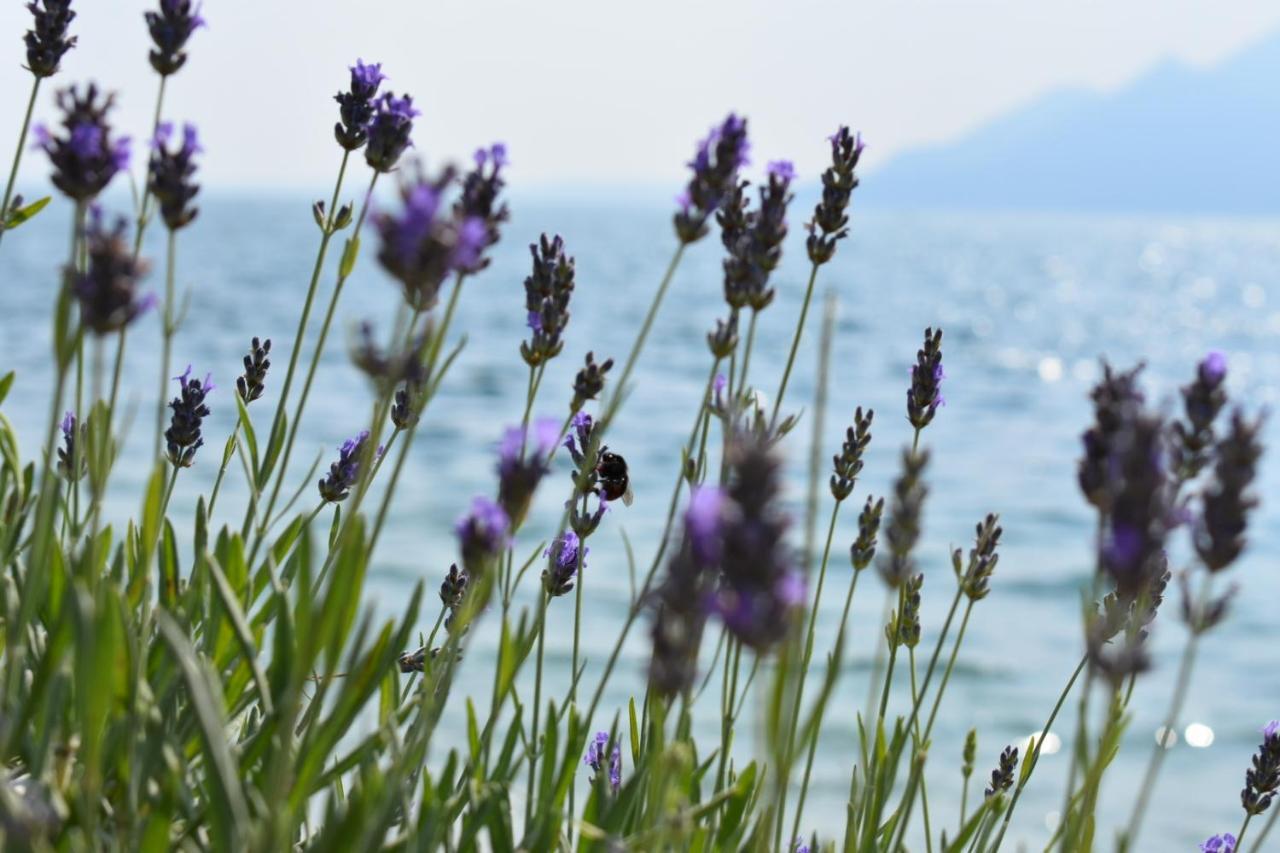 Hotel La Fiorita Limone sul Garda Esterno foto